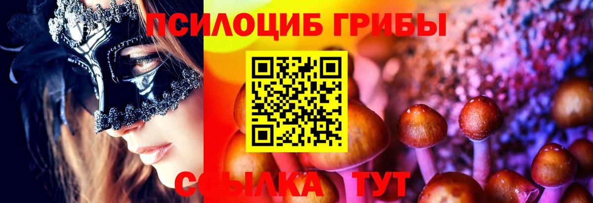 Галлюциногенные грибы мухоморы Ярославль