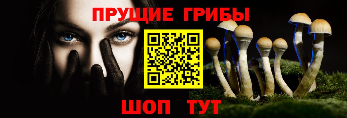 Псилоцибиновые грибы GOLDEN TEACHER  Вход с VPN  Ярославль  Галлюциногенные грибы Magic Shrooms 